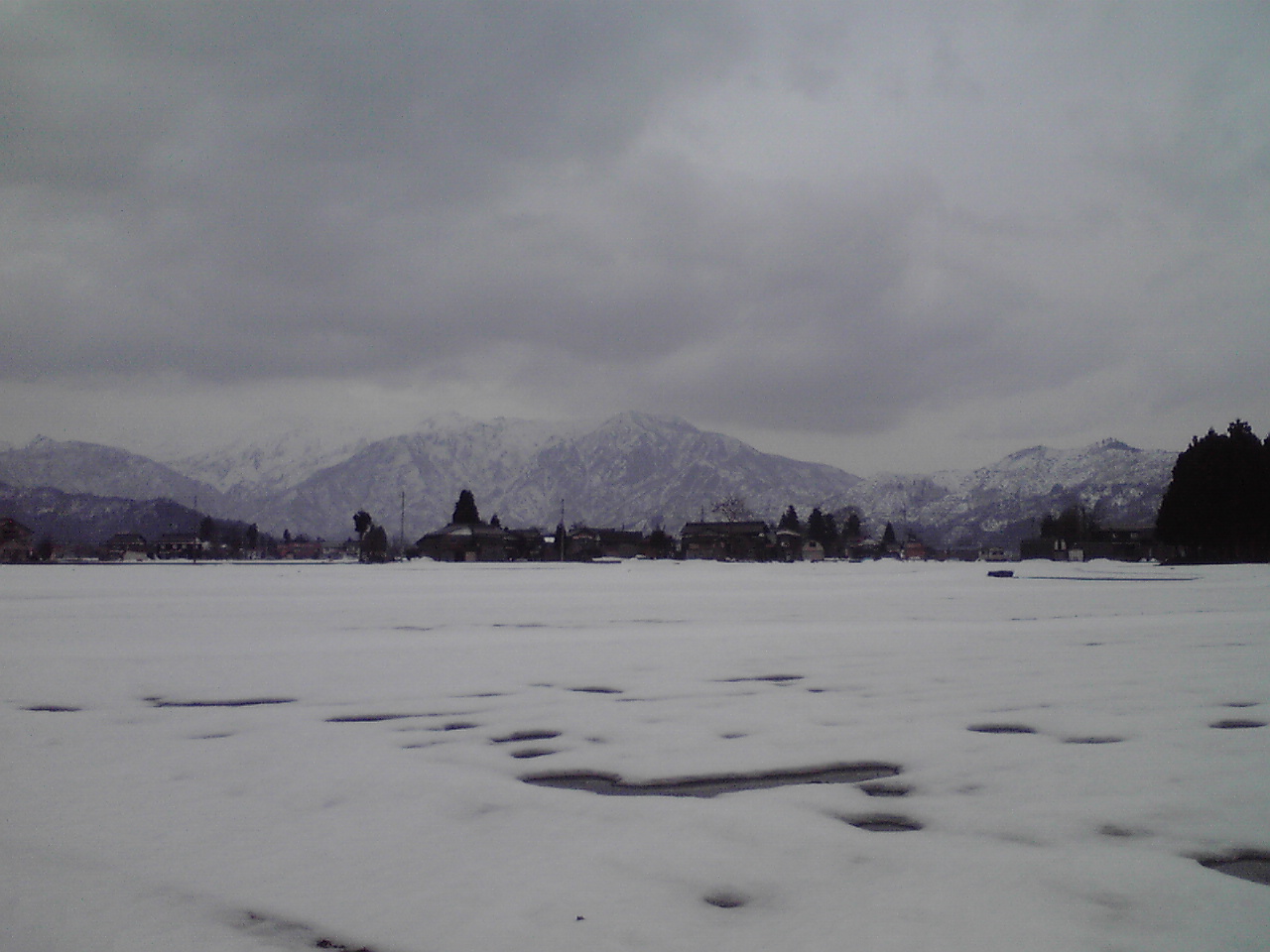 d0141922_20501195.jpg