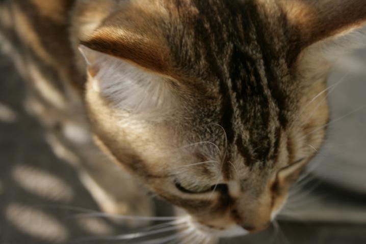 f0055228_18311059.jpg
