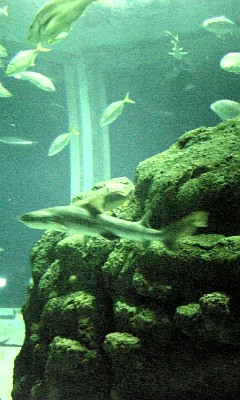 c0181830_13401770.jpg
