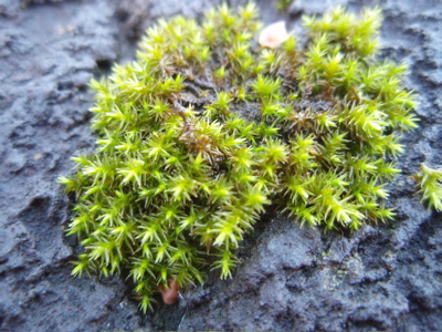 f0132230_29449.jpg