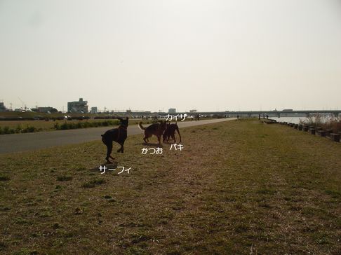 f0088731_1463970.jpg