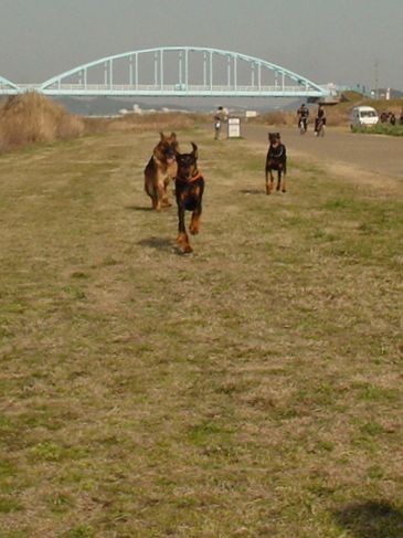 f0088731_146547.jpg