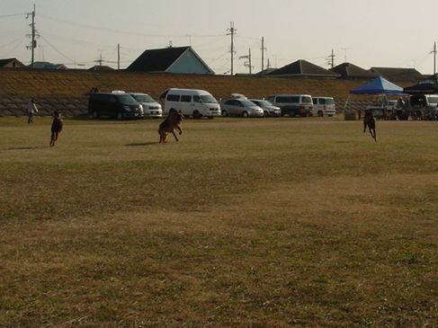 f0088731_14718.jpg
