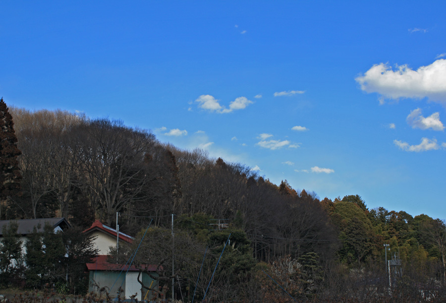 e0044635_1913113.jpg