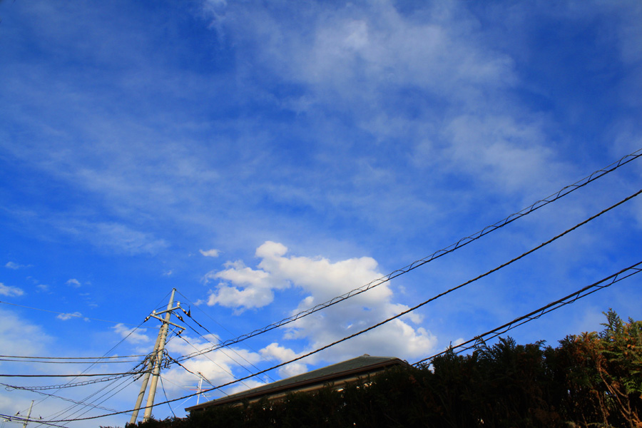 e0044635_19132789.jpg
