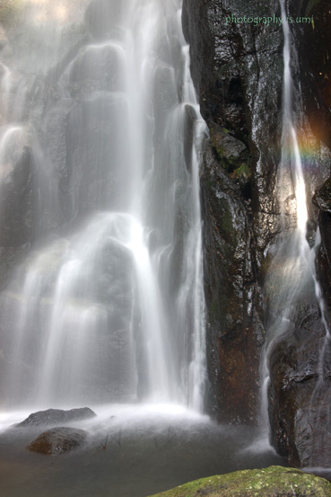 e0083238_22191119.jpg
