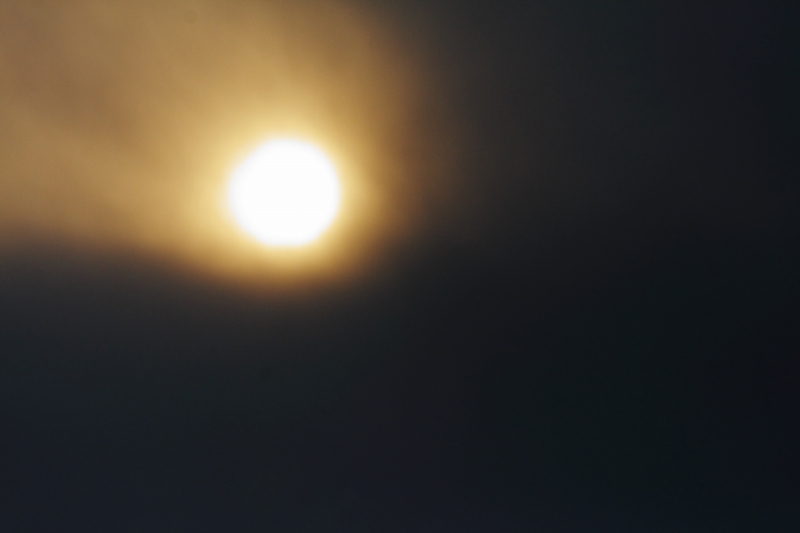 d0152341_23474997.jpg