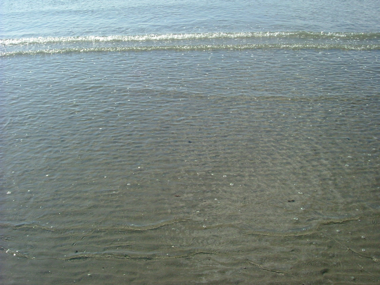 e0007443_21533660.jpg