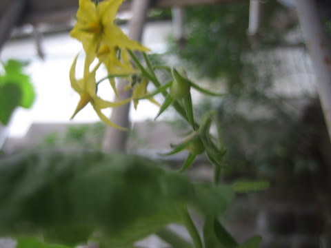 e0018143_166682.jpg