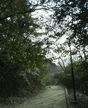 a0116246_4312257.jpg