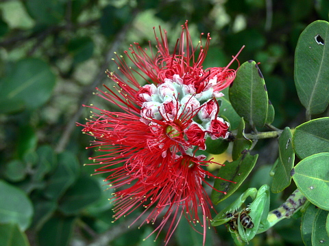 e0050753_23203064.jpg