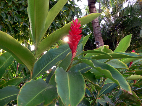 e0050753_23203594.jpg