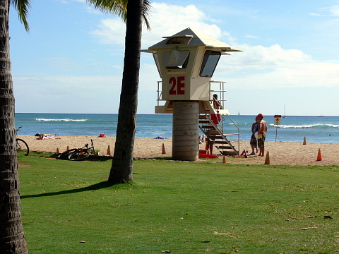 e0050753_2321852.jpg