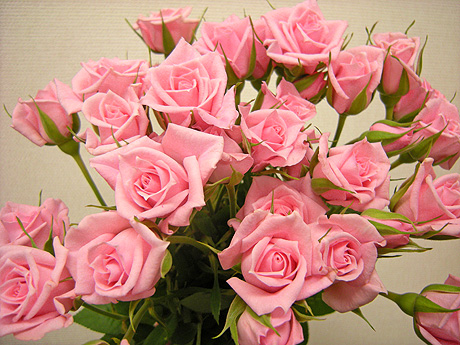 a0001354_219033.jpg