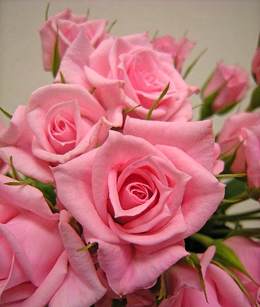 a0001354_2191422.jpg