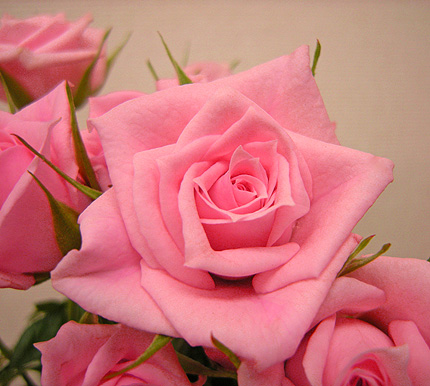 a0001354_2192544.jpg