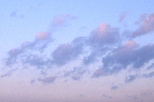 b0132755_141424.jpg