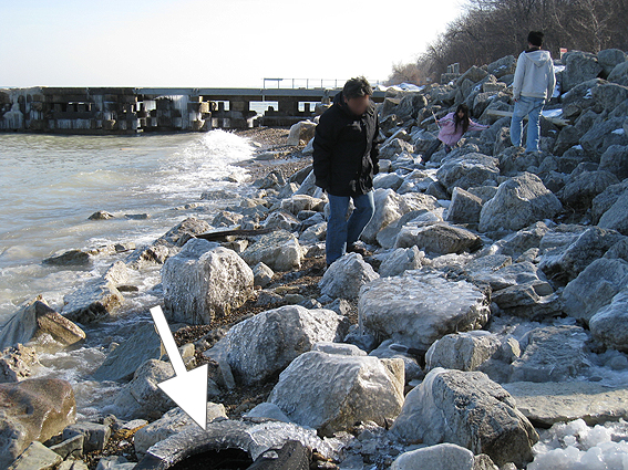 f0006855_11202495.jpg