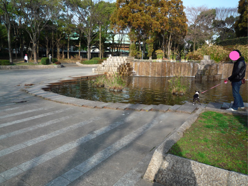f0166359_2134013.jpg