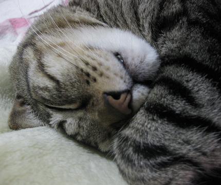 a0055263_8342719.jpg