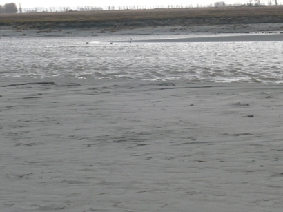 d0092973_2031291.jpg