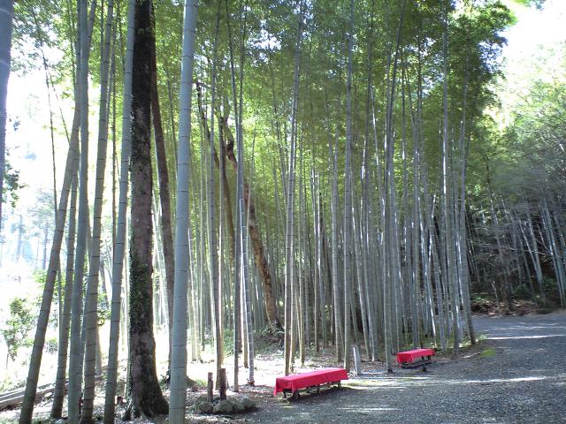 e0007273_1075996.jpg