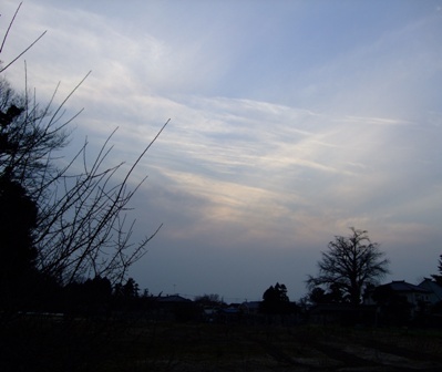 c0078480_02927.jpg