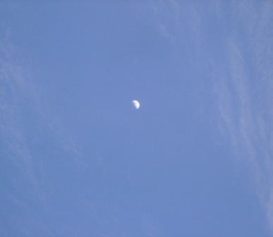c0078480_0292997.jpg