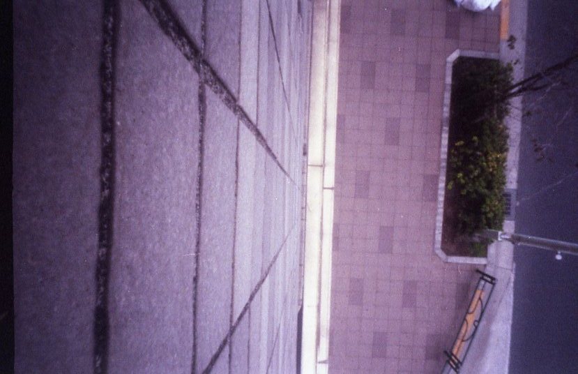 b0160184_22291796.jpg