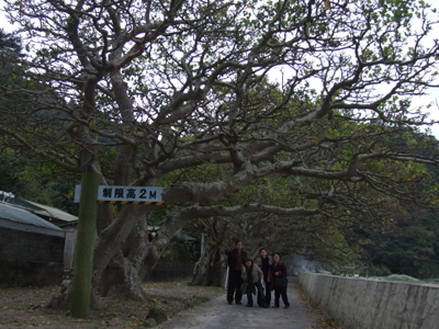 e0028387_0153231.jpg