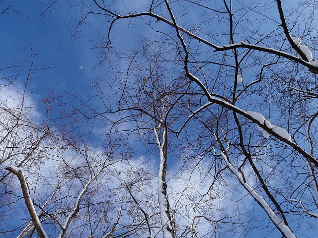 a0007388_11251613.jpg
