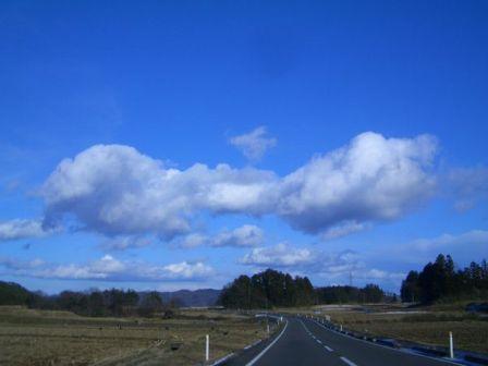 d0069498_2012829.jpg