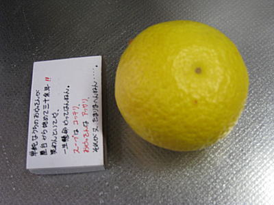 d0046702_22142075.jpg