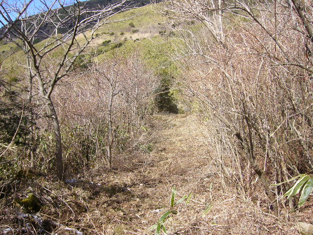 e0015108_0473481.jpg