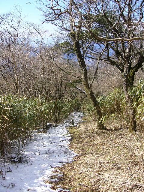 e0015108_056837.jpg