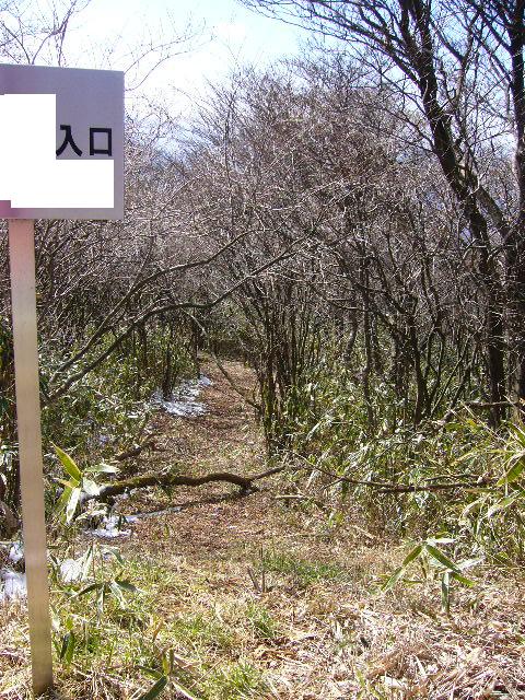 e0015108_058311.jpg