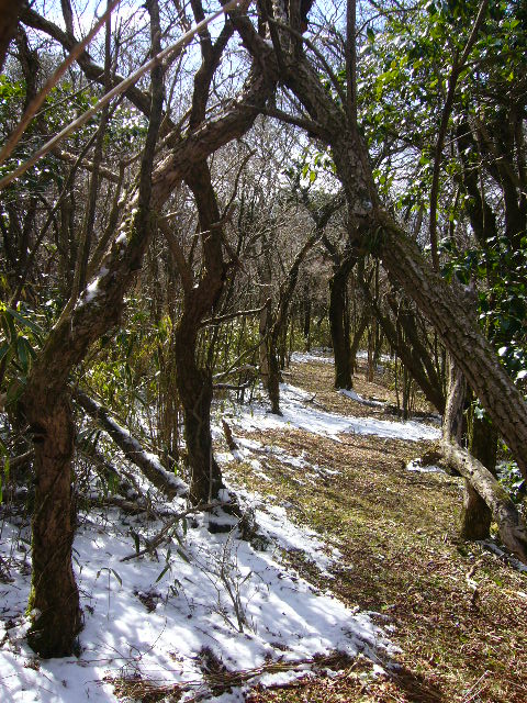 e0015108_05994.jpg