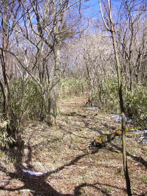e0015108_10161.jpg