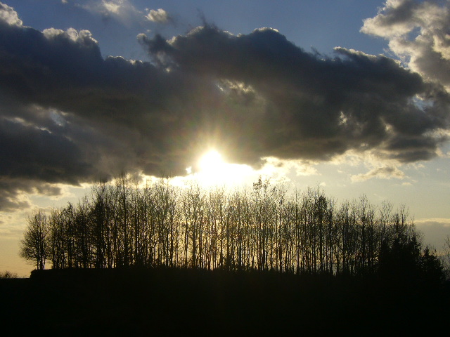 e0015108_1173619.jpg
