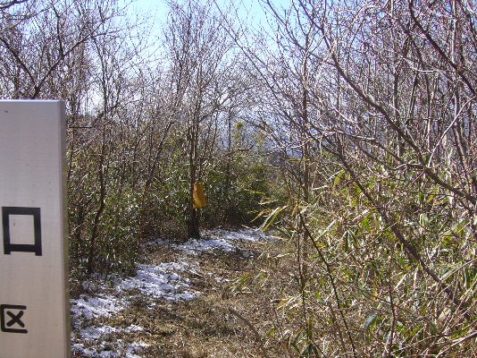 e0015108_14715.jpg