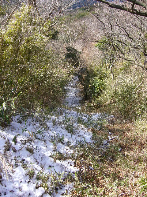 e0015108_15923.jpg