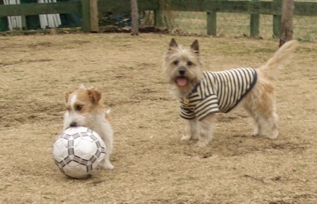 e0078510_2010466.jpg