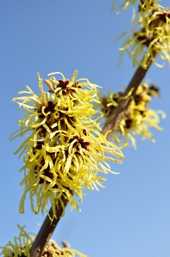 f0046614_20453789.jpg