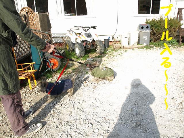 d0127716_2315147.jpg