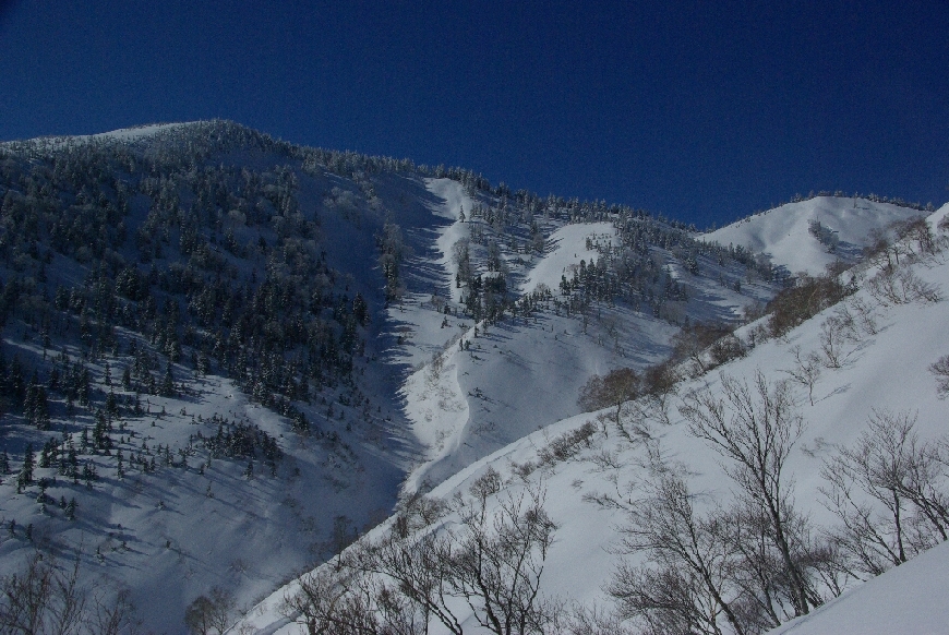 b0062024_21522895.jpg