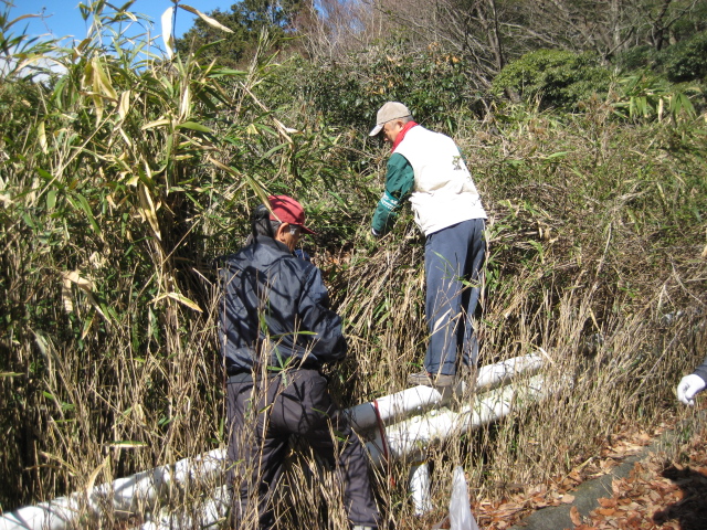 f0009128_1421419.jpg