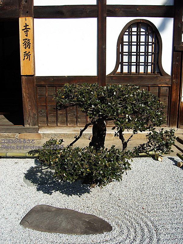 e0016732_2311834.jpg