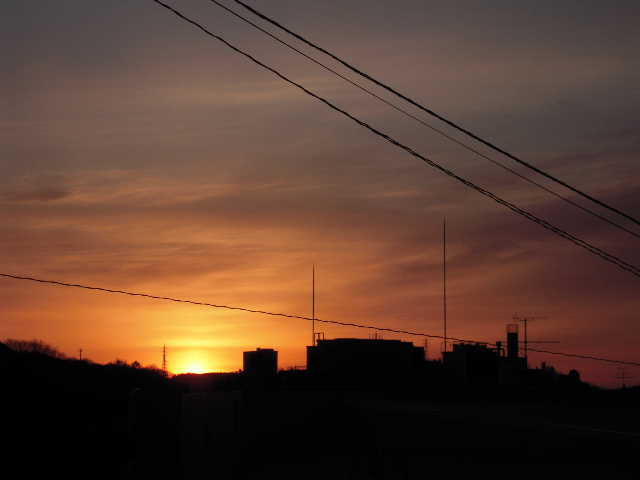 b0025633_1101443.jpg