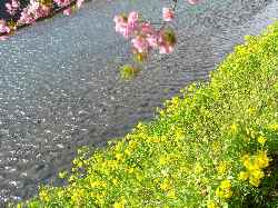 c0133533_0291453.jpg