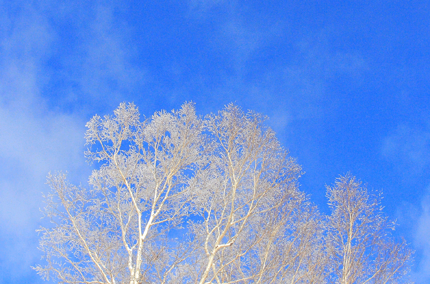 d0069235_115448.gif